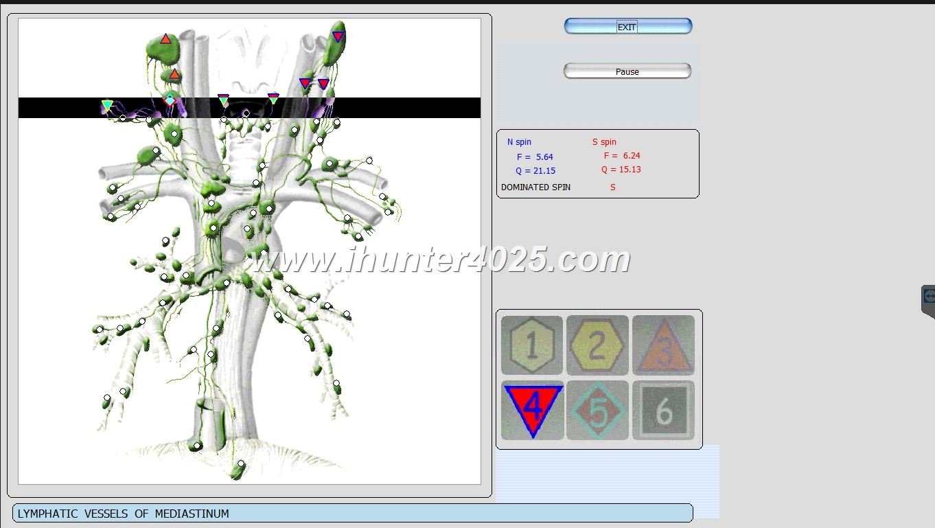 Metatron Hunter Chile