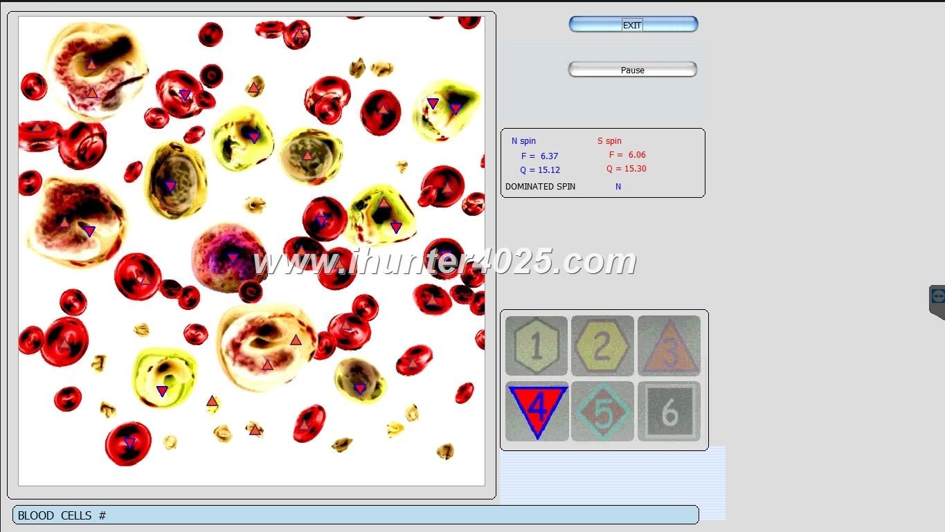 Metatron Hunter Chile