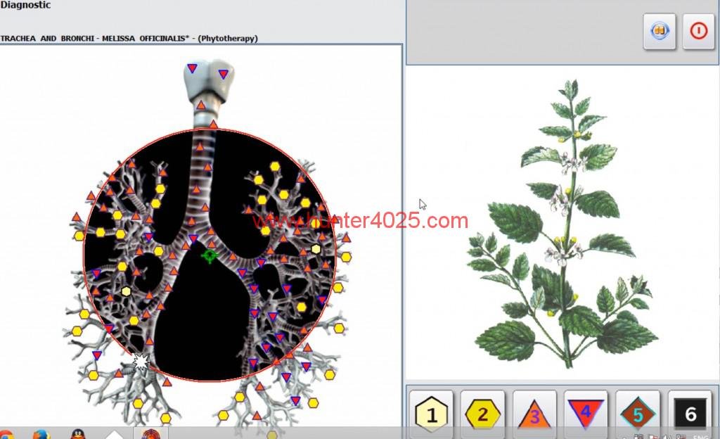 Maikong Metatron Hunter 4025 Scanner: