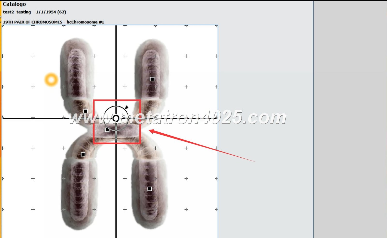 Maikong Metatron Hunter 4025 Scanner: